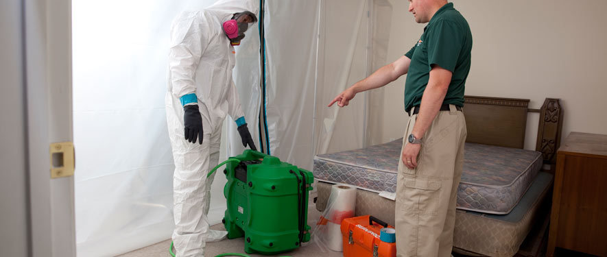 Garland, TX mold removal process